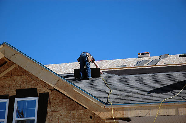 Roof Moss and Algae Removal in Crown Point, IN